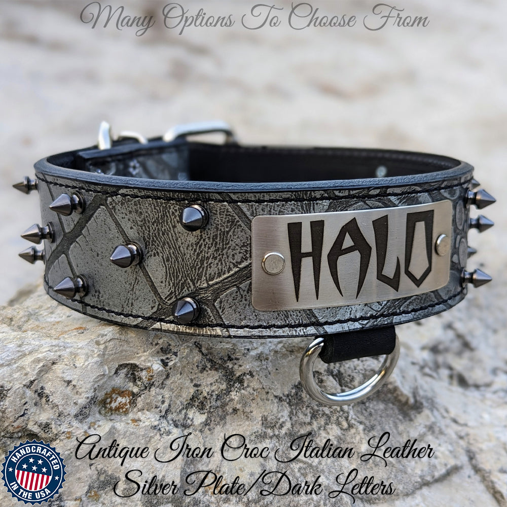 W46 - 2" Spiked Leather Dog Collar with Personalized Name Plate
