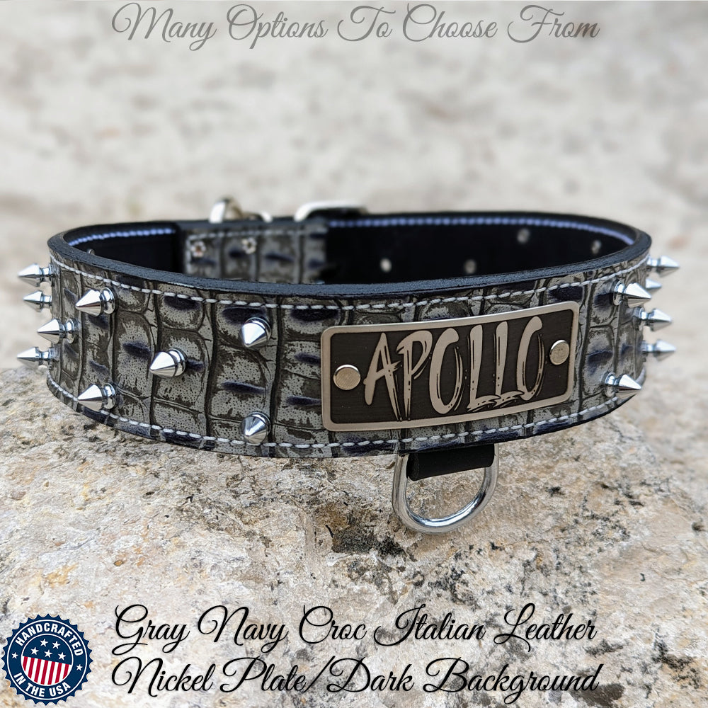 W46 - 2" Spiked Leather Dog Collar with Personalized Name Plate