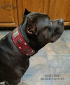 Leather Dog Collar, Custom Dog Collar with Crosses, 3" Wide - X65