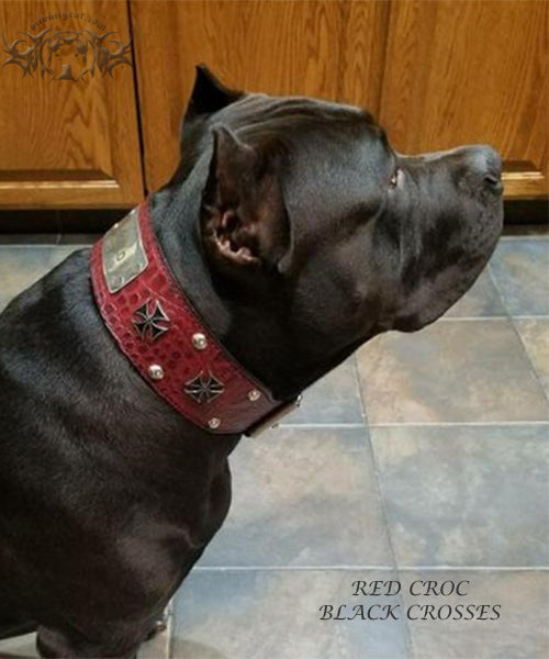 X65 - 3" Wide Personalized Leather Dog Collar with Iron Maltese Crosses