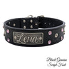 WN3 - 2" Name Plate Studs & Gems Leather Dog Collar