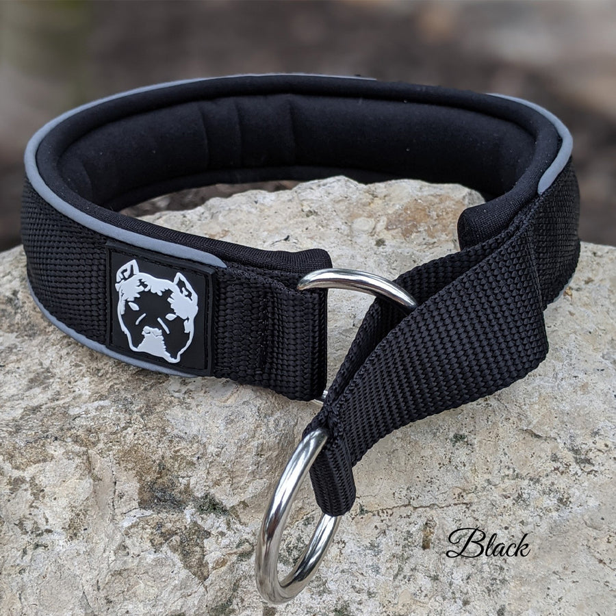 LM3 Leather Martingale Collar (no buckle) 1" Pit Bull Gear