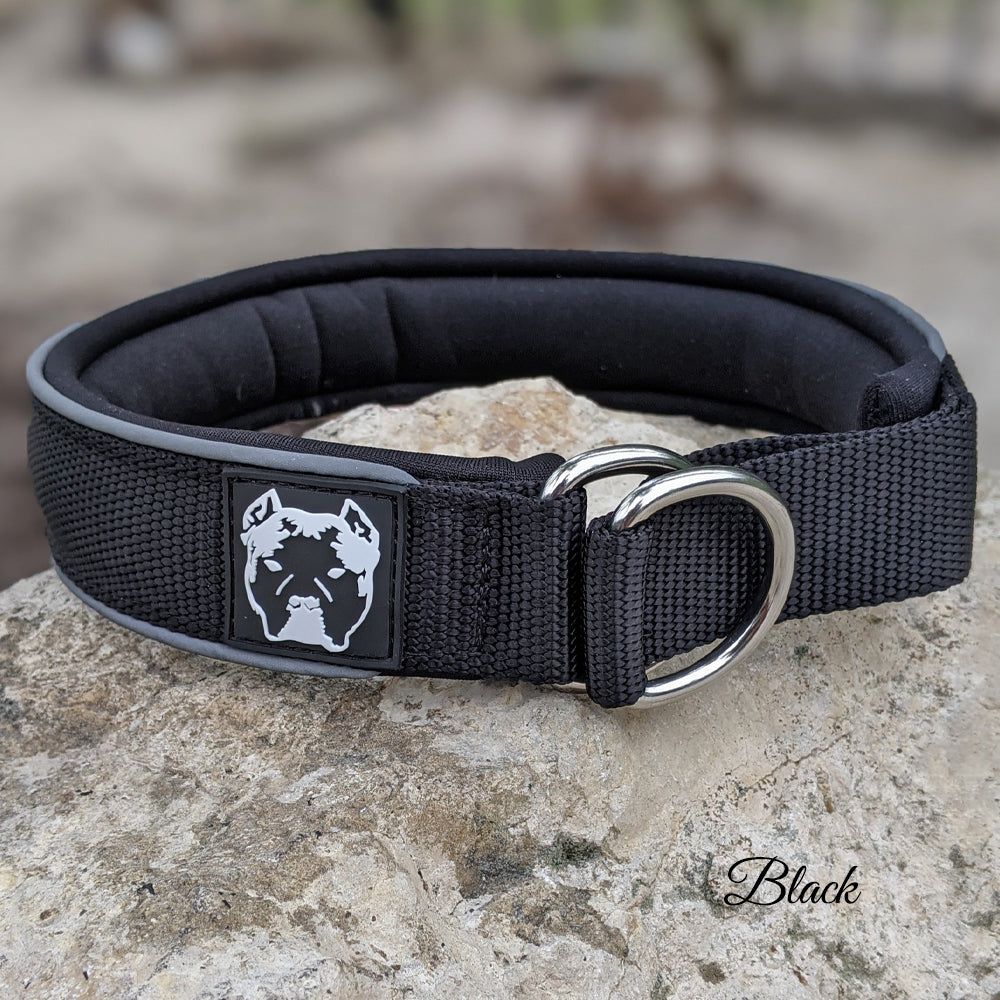 Black Nylon Martingale Dog Collar (slip on) - 1.5" (4cm)