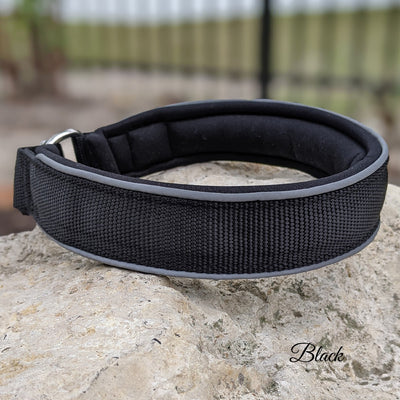 Black Nylon Martingale Dog Collar (slip on) - 1.5" (4cm)