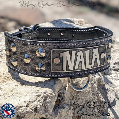 Leather Tapered Dog Collar Name Plate with Studs 2" Wide - N5