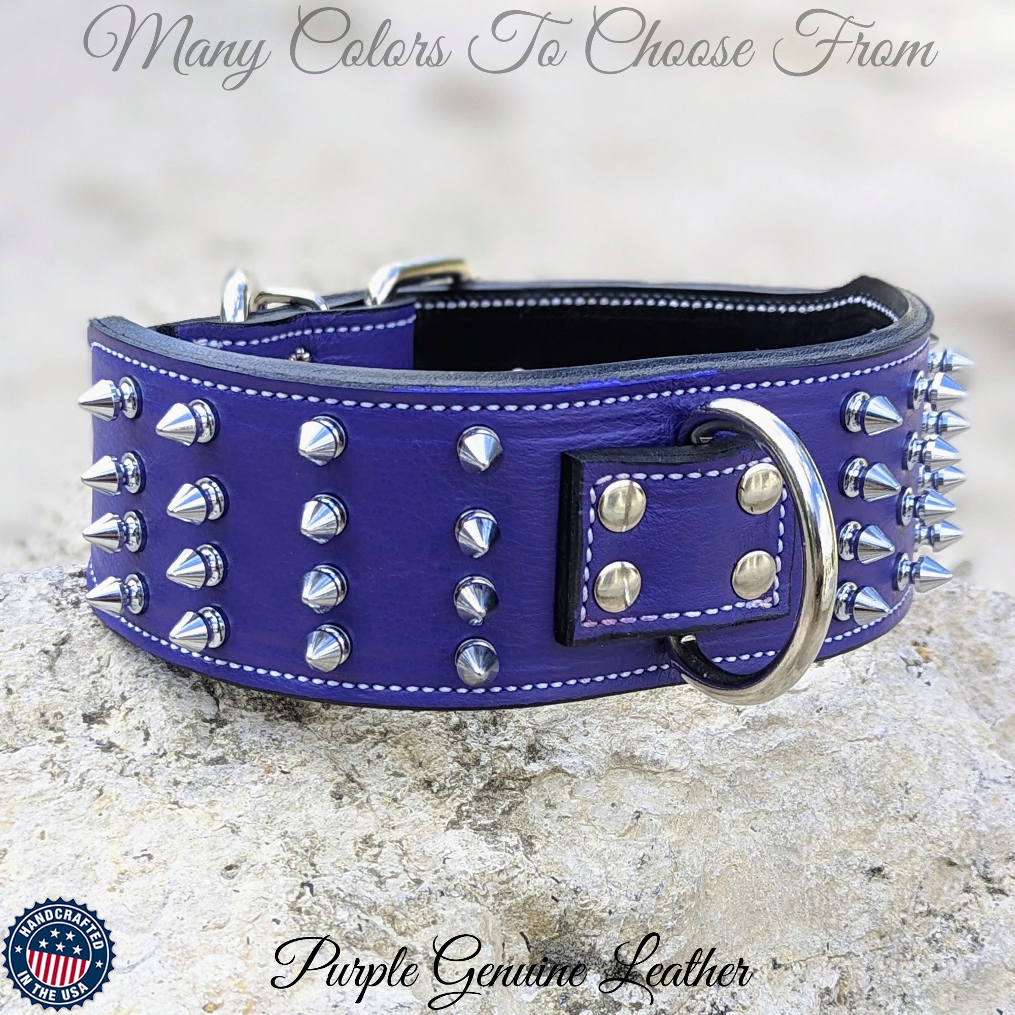 Leather Dog Collar, Personalized Name Plate Studded 2 Wide - N12