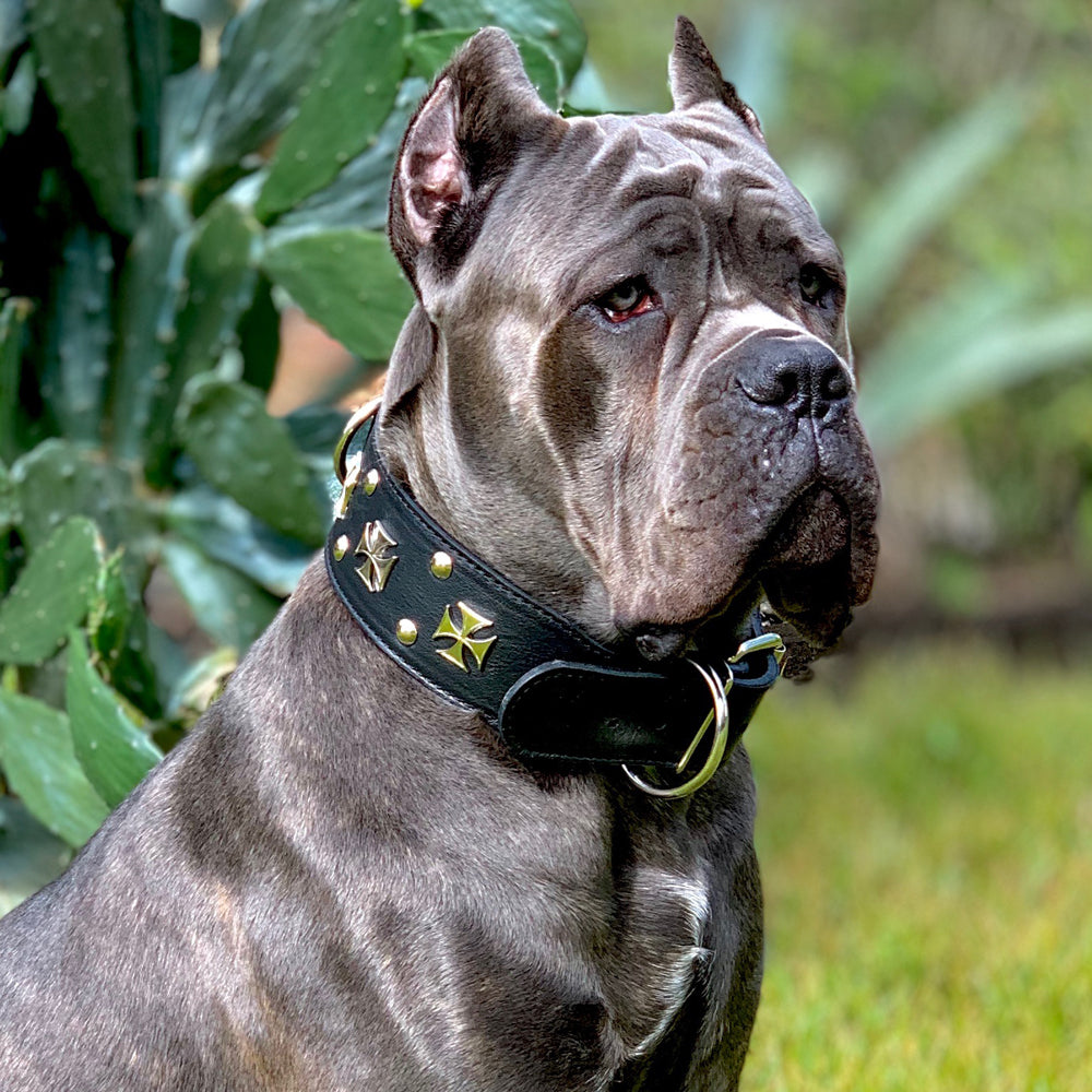 Coleira de cachorro de couro genuíno cravejada de luxo para pit bull  Doberman de raça grande G GG