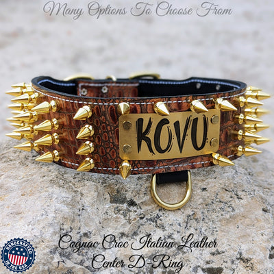 J9 - 2.5" Personalized Spiked Leather Dog Collar