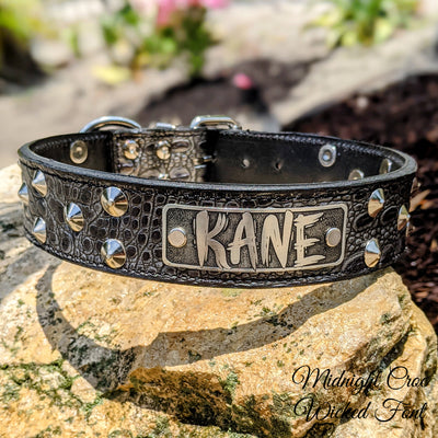 Leather Dog Collar Personalized name Plate Cone Studded Collar 1.5' Wide - VN1