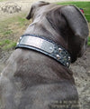N10 - Name Plate 1 1/2" Studded Leather Dog Collar - 1