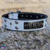 Leather Dog Collar Personalized Name Plate Studded 1.5" Wide - N10