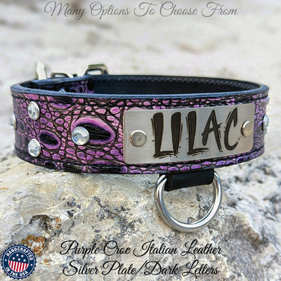 Leather Dog Collar with Gems Personalized Name Plate 1.5" Wide - N11