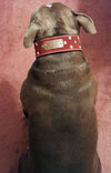 N12 - 2" Name Plate Studded Leather Dog Collar - 3