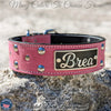 Leather Dog Collar, Personalized Name Plate Studded 2" Wide - N12