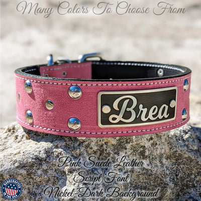 Leather Dog Collar, Personalized Name Plate Studded 2 Wide - N12