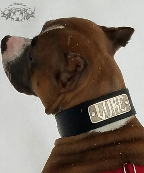 N15 - 2" Wide Personalized Leather Dog Collar