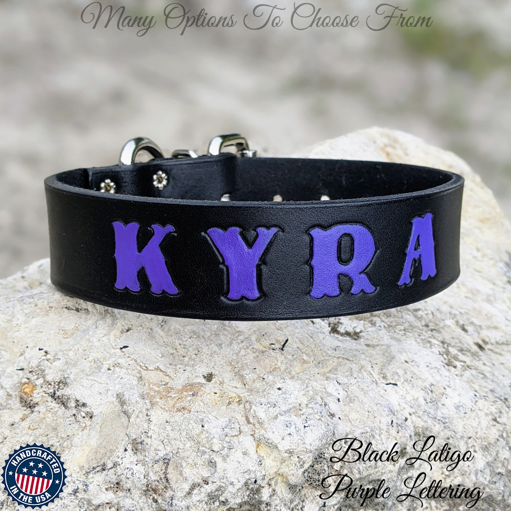 Leather Dog Collar Hand Painted Name Collar 1-Ply 1.5" Wide -  N3