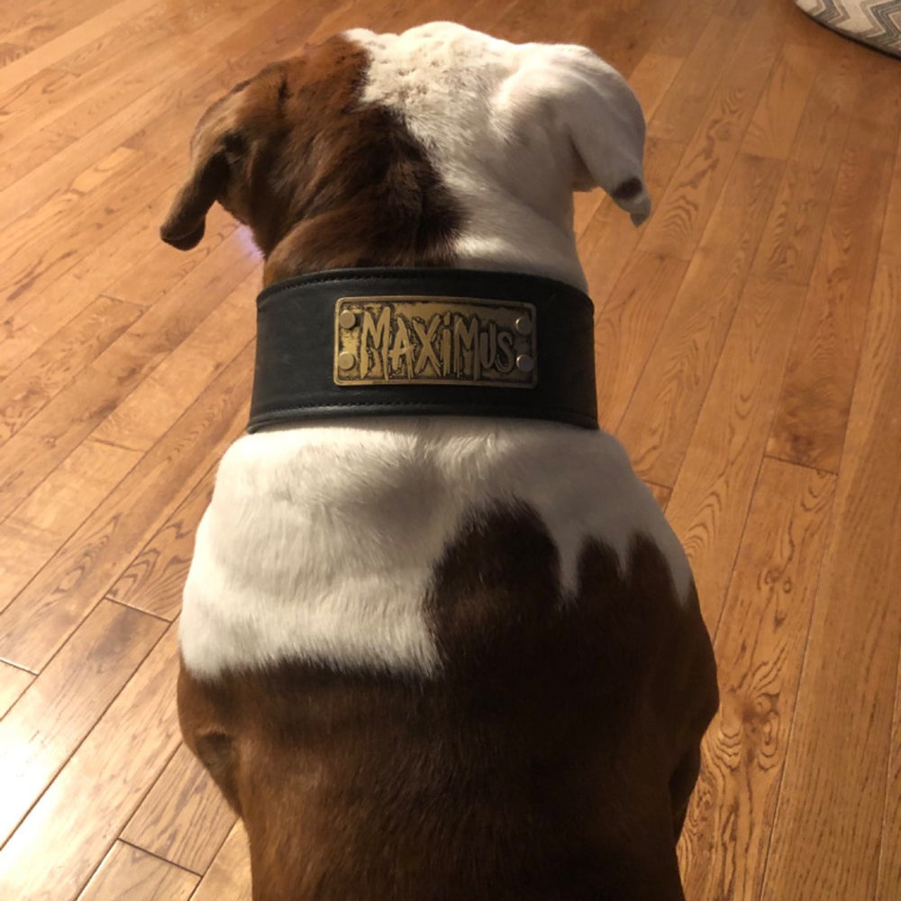 NJ11 - Collar de cuero para perro de 2,5" de ancho con placa de identificación personalizada