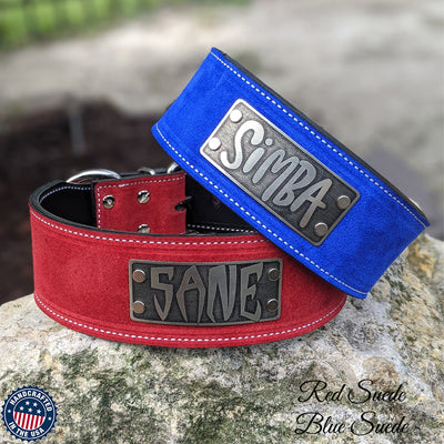 Leather Dog Collar Personalized Custom Name Plate 2 1/2" Wide - NJ11