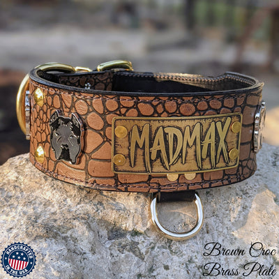Personalized Leather Dog Collar, Bully Collar Studs, 2.5" Wide - NJ14