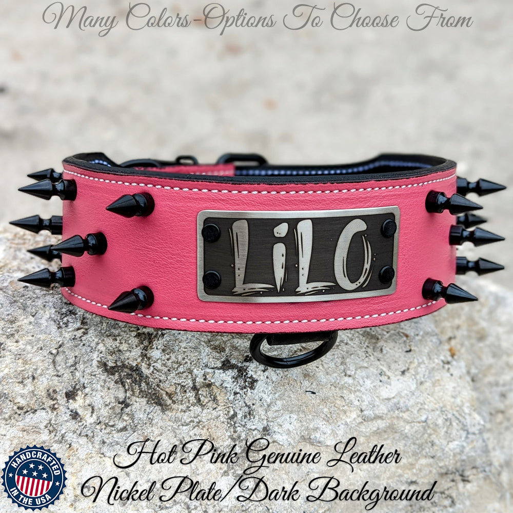 Leather Tapered Dog Collar Name Plate with Studs 2 Wide - N5