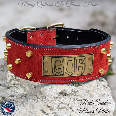Leather Dog Collar, Personalized Name Plate Dog Collar 2.5" Wide - NJ8