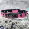 Leather Dog Collar Nameplate Dog Collar Studded Collar 1" Wide - NU3