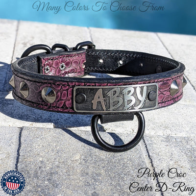 Leather Dog Collar Nameplate Dog Collar Studded Collar 1" Wide - NU3