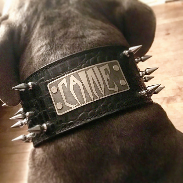 NX2 - 3" Wide Personalized Spiked Leather Dog Collar