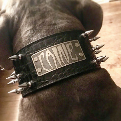 NX2 - 3" Name Plate Spiked Leather Dog Collar