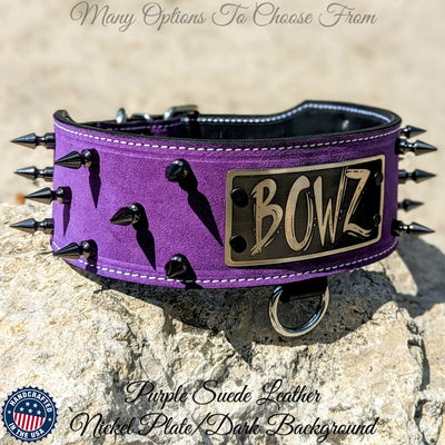 NX2 - 3" Name Plate Spiked Leather Dog Collar