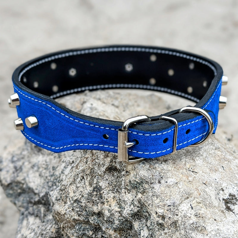 Tapered Leather Dog Collar with Name Plate and Bucket Studs 2 Wide Pit Bull Gear