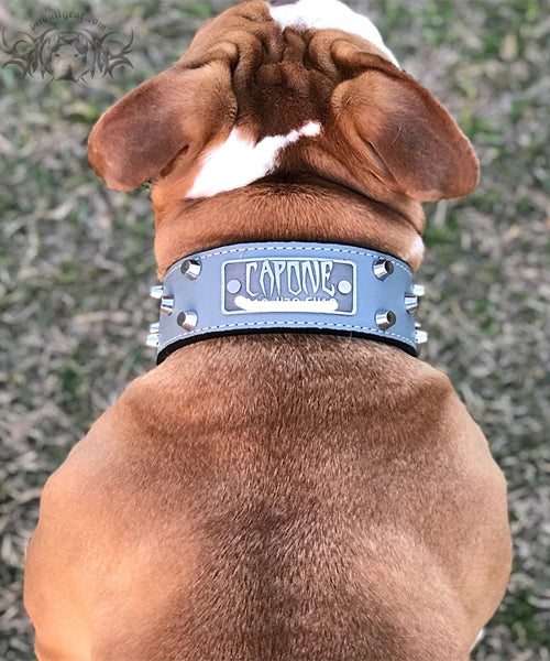 TW32 - Placa de identificación y tachuelas de cuero cónicas de 2" para collar