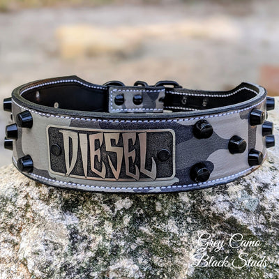 Leather Tapered Dog Collar Name Plate with Studs 2 Wide - N5