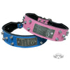 TW32 - 2" Tapered Name Plate Leather Collar w/Bucket Studs