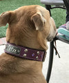 V20 - 1 1/2" Personalized Studs & Gems Dog Collar