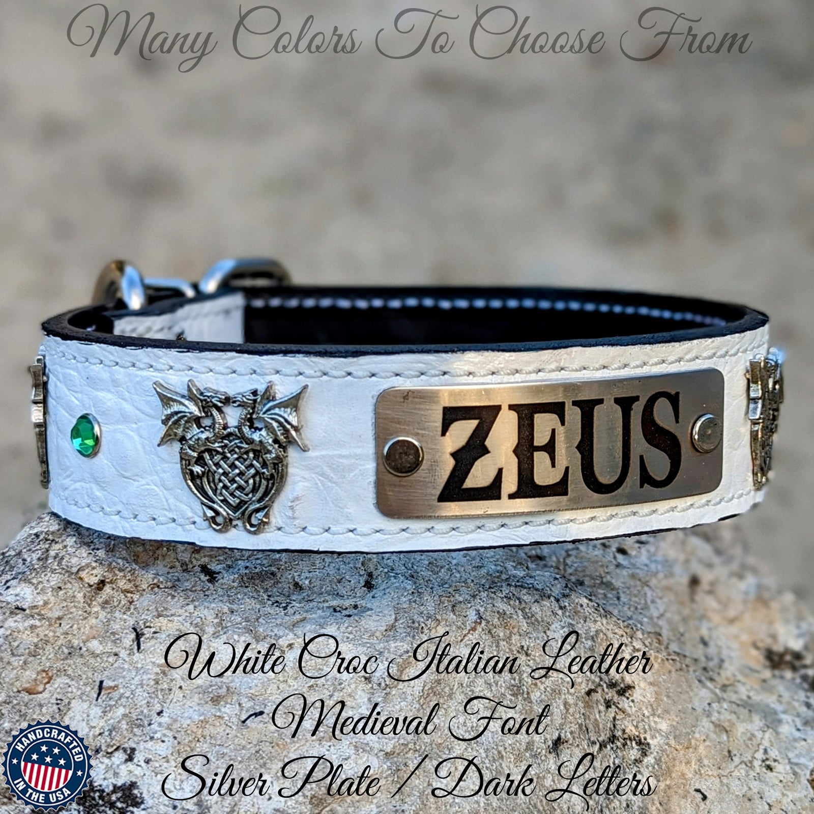 V30 - 1.5" Wide Name Plate Dragons & Gems Leather Dog Collar