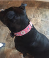 V39 - 1 1/2" Daisy & Gems Leather Dog Collar