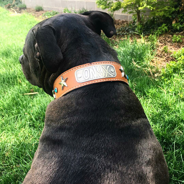 V42 - Collar de cuero para perro personalizado con estrellas de 1,5" de ancho y gemas