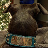 Leather Dog Collar Personalized name Plate Cone Studded Collar 1.5' Wide - VN1