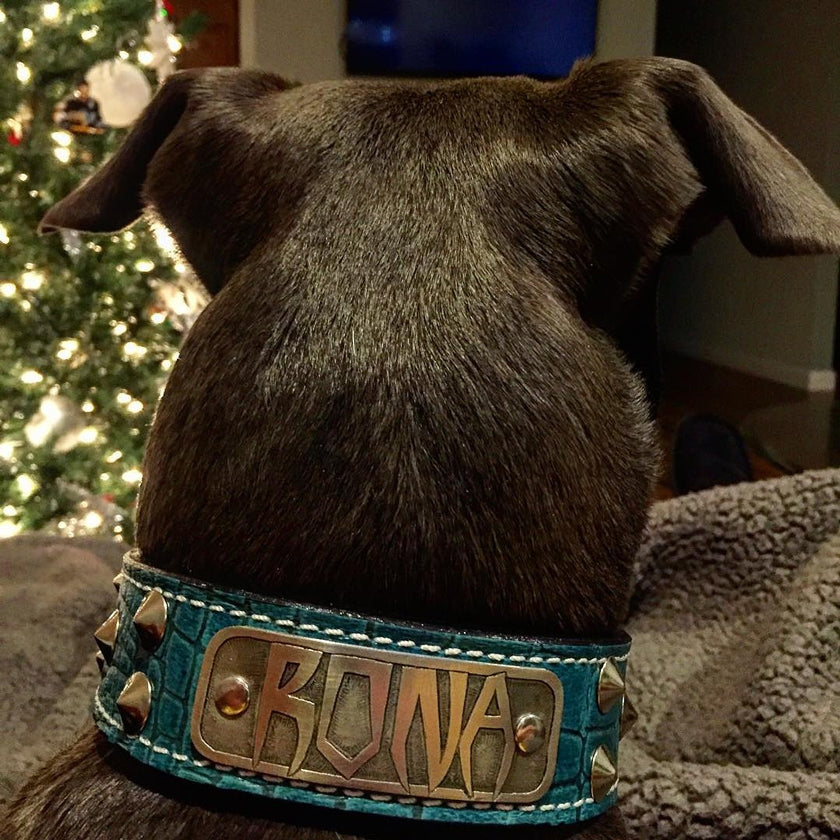 VN1 - Collar de cuero para perros de 1,5" de ancho con placa de identificación y tachuelas cónicas