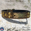 Leather Dog Collar Personalized name Plate Cone Studded Collar 1.5' Wide - VN1