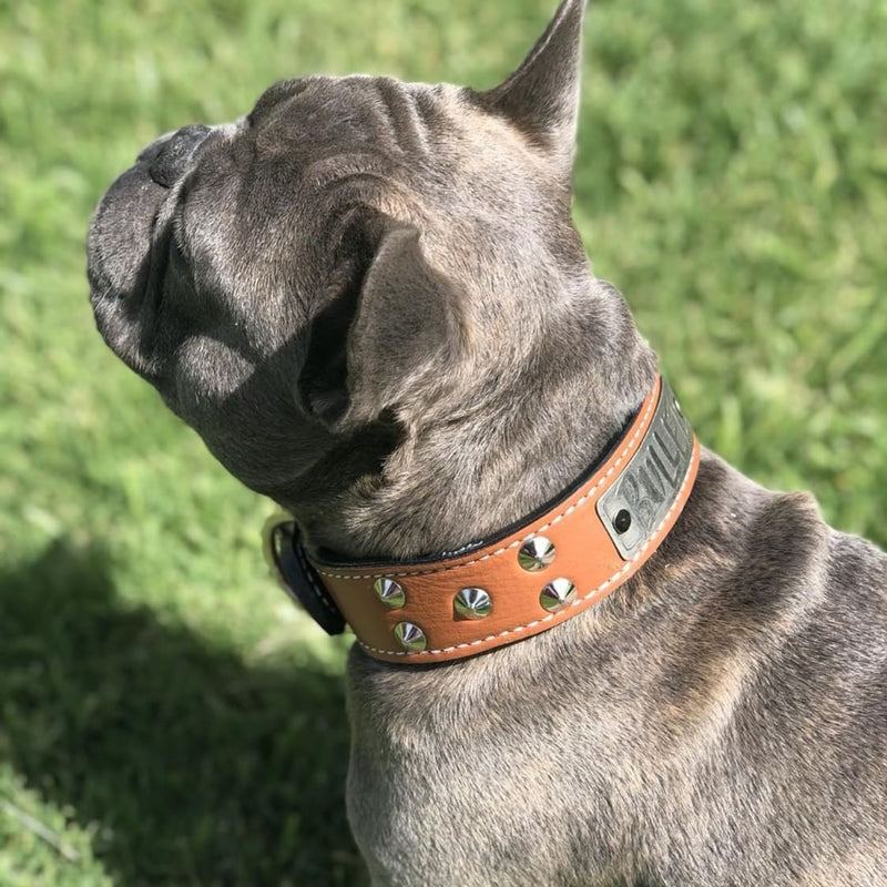 VN1 - Collar de cuero para perros de 1,5" de ancho con placa de identificación y tachuelas cónicas