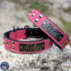 Leather Dog Collar Personalized name Plate Cone Studded Collar 1.5' Wide - VN1