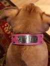 VN1 - 1 1/2" Name Plate Cone Studded Collar - 2