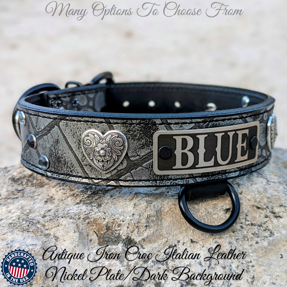 VN2 - 1.5" Wide Leather Dog Collar with Name Plate, Gems & Hearts