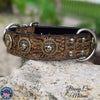 Custom Made Leather Dog Collar with Military Conchos 2" Wide - W32
