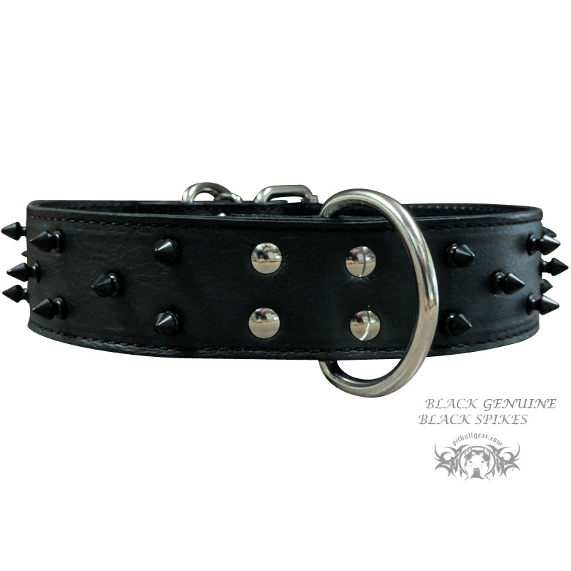 W36 - 2" Spiked Leather Dog Collar