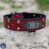 W43 - 2" Name Plate Studs & Gems Leather Dog Collar
