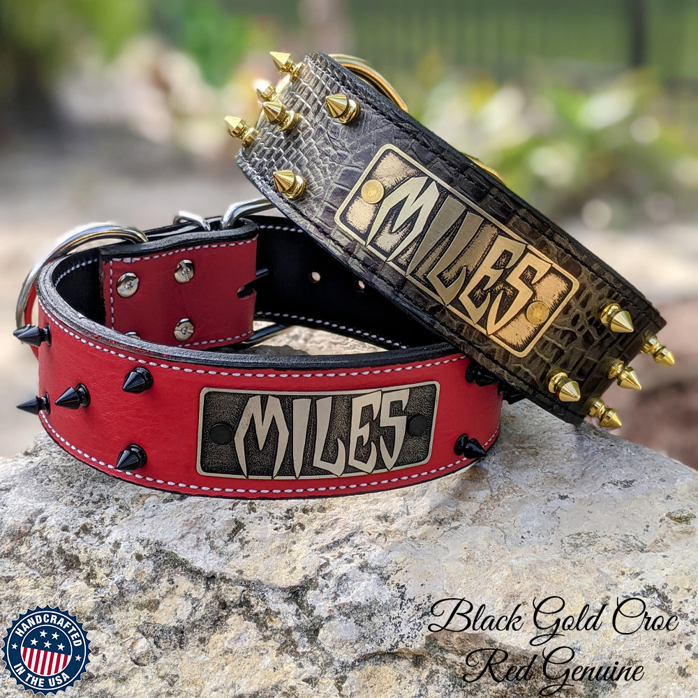 W46 - 2" Spiked Leather Dog Collar with Personalized Name Plate